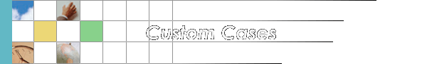 Custom Cases